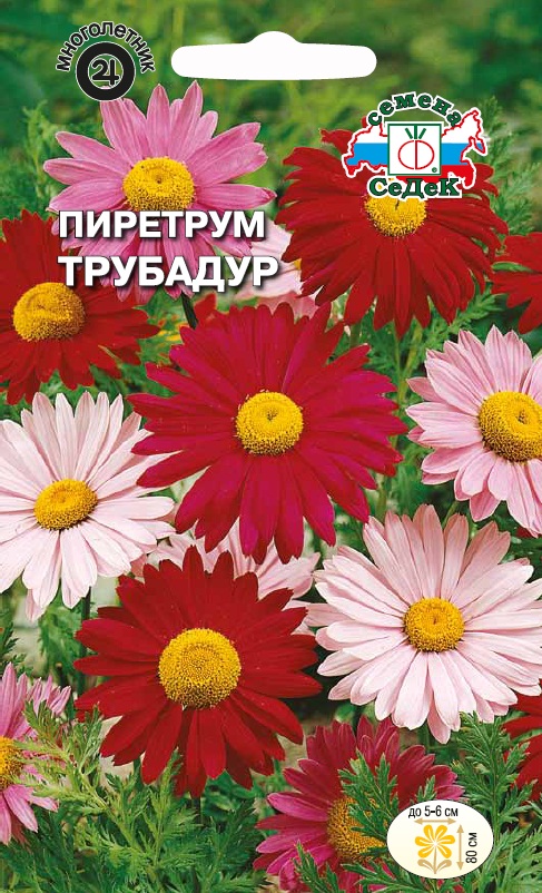 Семена цветов - Пиретрум Трубадур 0,1 г - 2 пакета