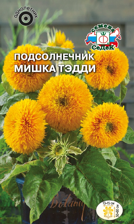 Семена цветов - Подсолнечник Мишка Тэдди 1 г - 2 пакета
