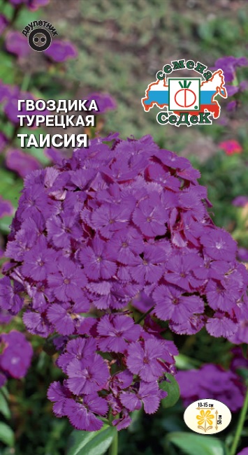 Семена цветов - Гвоздика Таисия 0,3 г - 2 пакета