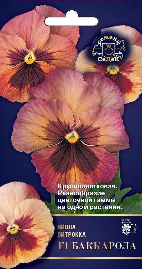 Семена цветов - Виола Баккарола F1 5 шт - 2 пакета