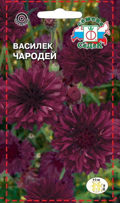Семена цветов - Василек Чародей 0,5 г - 2 пакета