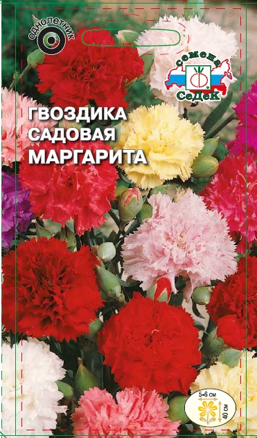 Семена цветов - Гвоздика Маргарита 0,1 г - 2 пакета