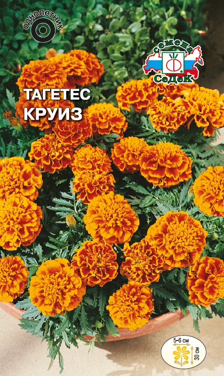 Семена цветов - Тагетес Круиз 0,2 г - 2 пакета