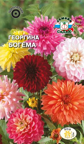 Семена цветов - Георгина Богема 0,2 г - 2 пакета